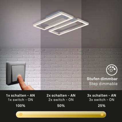 Briloner 3107-012 - LED Dimmelhető mennyezeti lámpa FRAME 2xLED/7,25W/230V