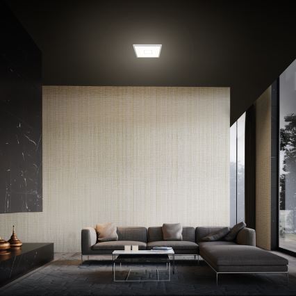 Briloner 3174-014 - LED Mennyezeti lámpa FREE LED/12W/230V 19x19 cm