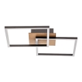 Briloner 3210-014 - LED Dimmelhető mennyezeti lámpa FRAME 2xLED/11W/230V barna