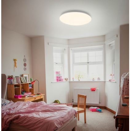 Briloner 3380-116 - LED dimmelhető mennyezeti lámpa STARRY SKY LED/18W/230V 2700/4000K