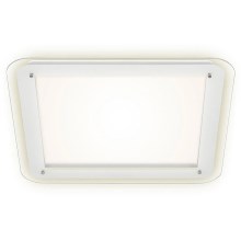 Briloner 3397-016 - LED Mennyezeti lámpa FREE LED/22W/230V