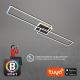 Briloner 3538-015 - LED Dimmelhető csillár FRAME 2xLED/20W/230V 2700-6500K Wi-Fi Tuya + távirányítás