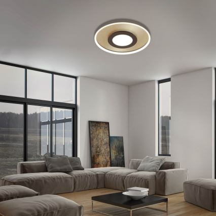 Briloner 3640017 - LED állítható fényerejű mennyezeti lámpa FRAME LED/25W/230V 2700-6500K + távirányító