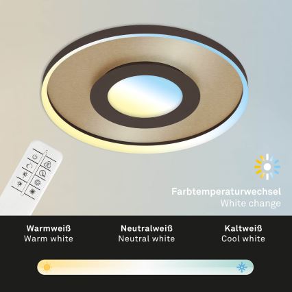 Briloner 3640017 - LED állítható fényerejű mennyezeti lámpa FRAME LED/25W/230V 2700-6500K + távirányító