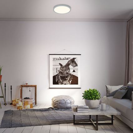 Briloner 3704-014-LED Dimmelhető mennyezeti lámpa RUNA LED/22W/230V 2700-6500K ezüst + távirányítás
