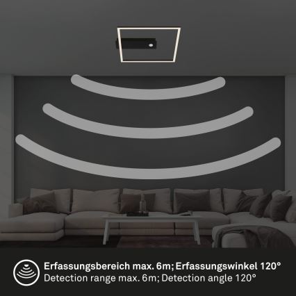 Briloner 3770-015 - FRAME mennyezeti lámpatest mozgás- és alkonyérzékelővel LED/14W/230V 3000K 30x32 cm fekete