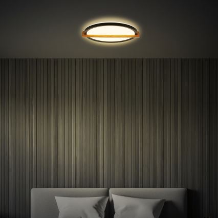 Briloner 3844015 - LED mennyezeti lámpatest, 18 W, 230 V, átmérő 31,5 cm