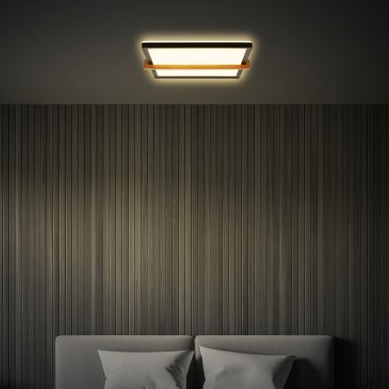 Briloner 3845015 - LED mennyezeti lámpa LED/18W/230V 29,5x31,5 cm