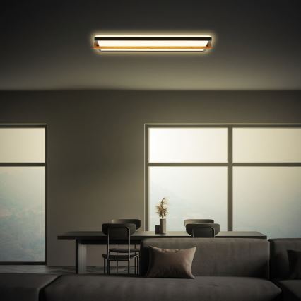 Briloner 3846015 - LED mennyezeti lámpa REMSA LED/22W/230V 3000K 60,5x20 cm fekete