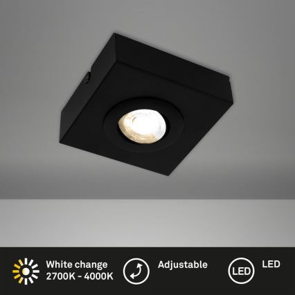 Briloner 3996015 - LED Spotlámpa CTS LED/4W/230V 2700/4000K fekete
