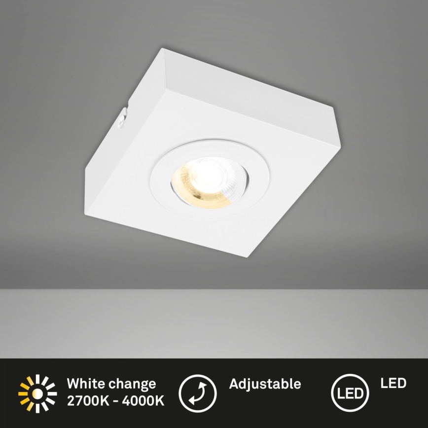 Briloner 3996016 - LED Spotlámpa CTS LED/4W/230V 2700/4000K fehér