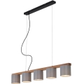 Briloner 4075-054 - RHON kábeles csillár 5xE14/25W/230V