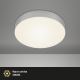 Briloner 7065-014 - LED Mennyezeti lámpa FLAME LED/16W/230V ezüst