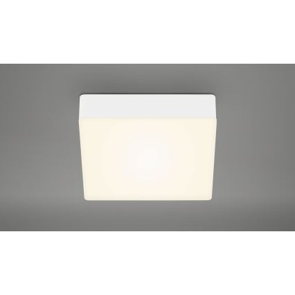 Briloner 7069-016 - LED Mennyezeti lámpa LED/11W/230V fehér