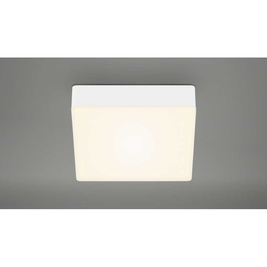 Briloner 7069-016 - LED Mennyezeti lámpa LED/11W/230V fehér