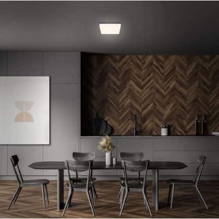 Briloner 7070-016 - LED Mennyezeti lámpa FLAME LED/16W/230V fehér