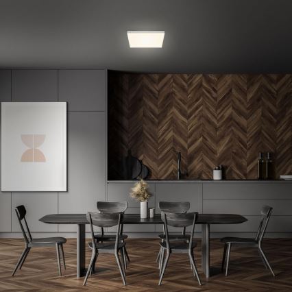 Briloner 7071-014 - LED Mennyezeti lámpa FLAME LED/21W/230V 3000K 28,7x28,7 cm ezüst