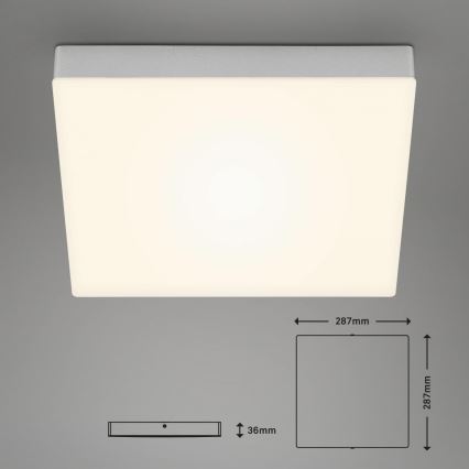 Briloner 7071-014 - LED Mennyezeti lámpa FLAME LED/21W/230V 3000K 28,7x28,7 cm ezüst