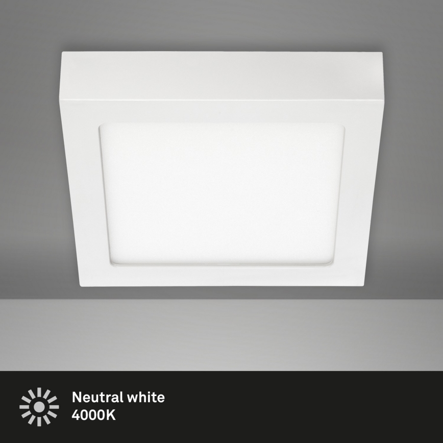 Briloner 7123-416 - LED Mennyezeti lámpa FIRE LED/12W/230V fehér