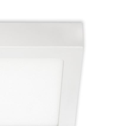 Briloner 7123-416 - LED Mennyezeti lámpa FIRE LED/12W/230V fehér