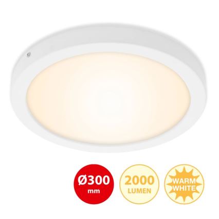 Briloner 7141-016 - LED Mennyezeti lámpa FIRE LED/21W/230V