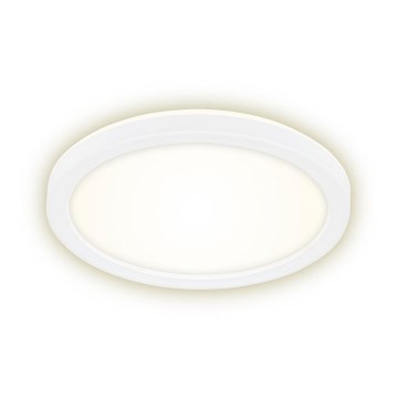 Briloner 7150-416 - LED Mennyezeti lámpa SLIM LED/12W/230V á. 19 cm