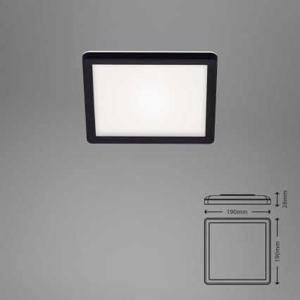 Briloner 7153-415 - LED Mennyezeti lámpa SLIM LED/12W/230V 19x19 cm