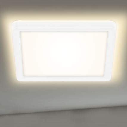 Briloner 7153-416 - LED Mennyezeti lámpa SLIM LED/12W/230V