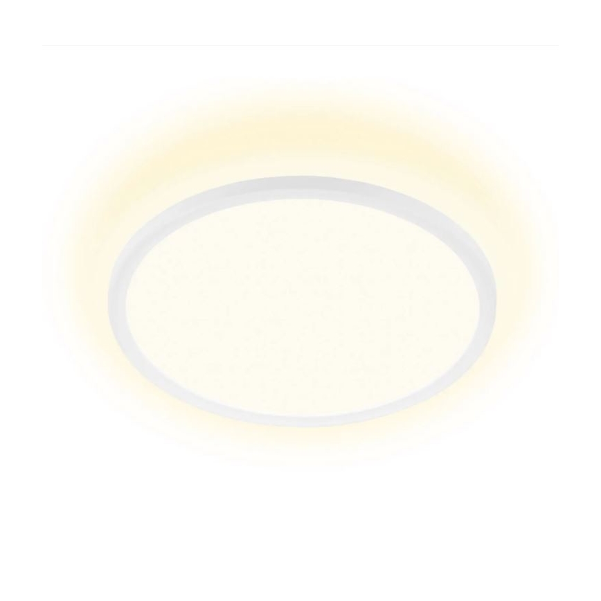 Briloner 7155-416 - LED Mennyezeti lámpa SLIM LED/18W/230V