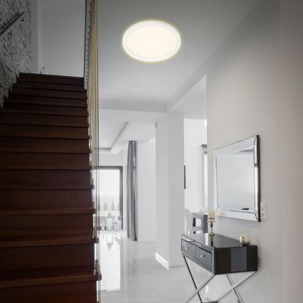 Briloner 7363-016 - LED Mennyezeti lámpa CADRE LED/22W/230V á. 42,5 cm fehér