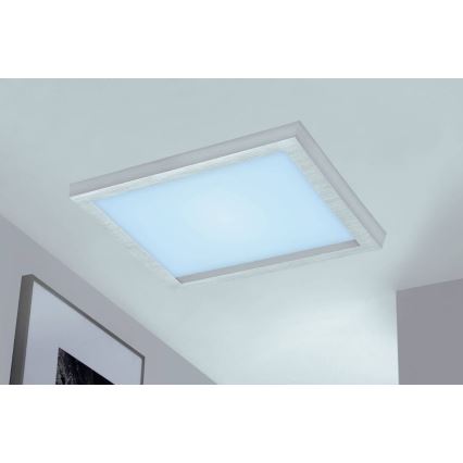 Briloner 7371-014 - LED dimmelhető mennyezeti lámpa LED/24W/230V 3000-6500K + távirányító