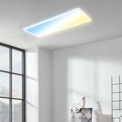 Briloner 7403-016 - LED dimmelhető mennyezeti lámpa SLIM LED/23W/230V 2700-6500K + távirányító