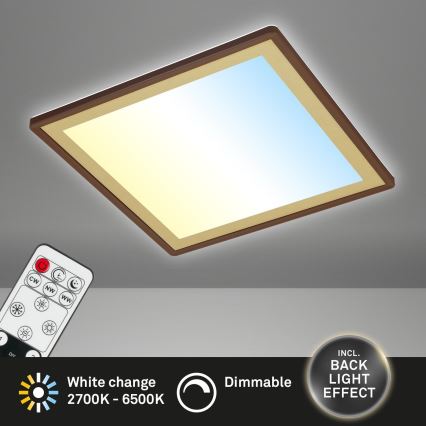 Briloner 7459-417 - LED dimmelhető mennyezeti lámpa DECO LED/24W/230V 2700-6500K + távirányító