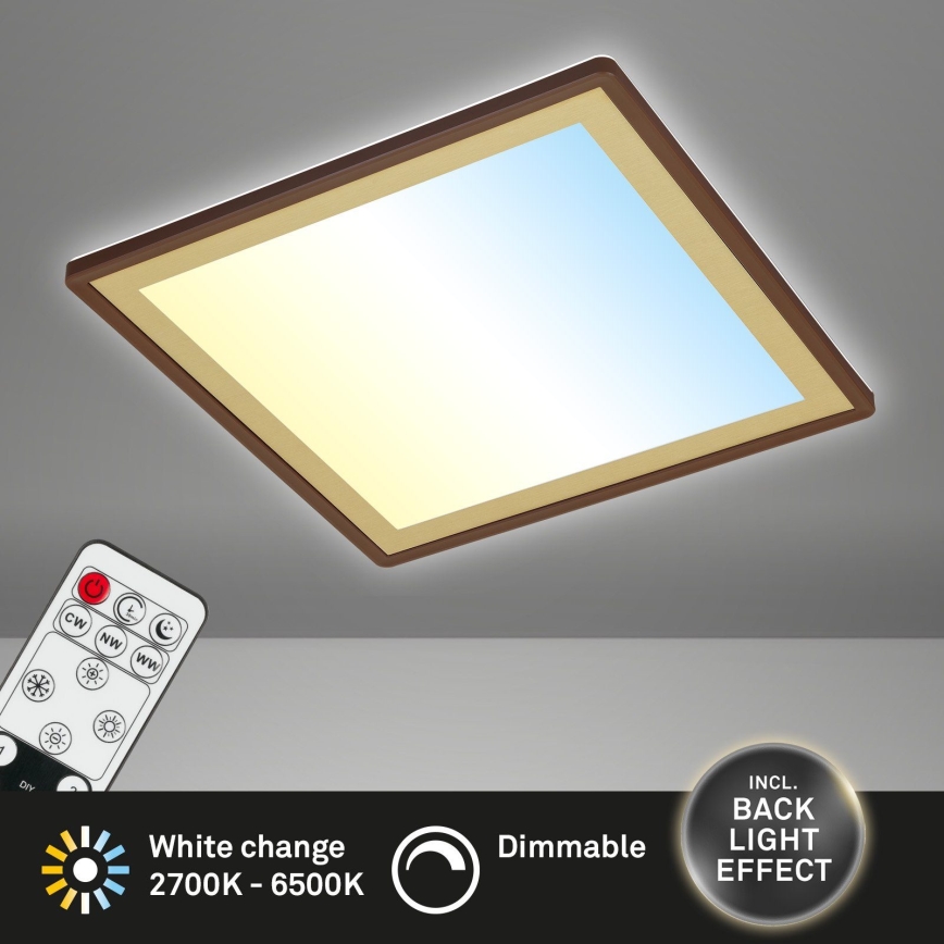 Briloner 7459-417 - LED dimmelhető mennyezeti lámpa DECO LED/24W/230V 2700-6500K + távirányító