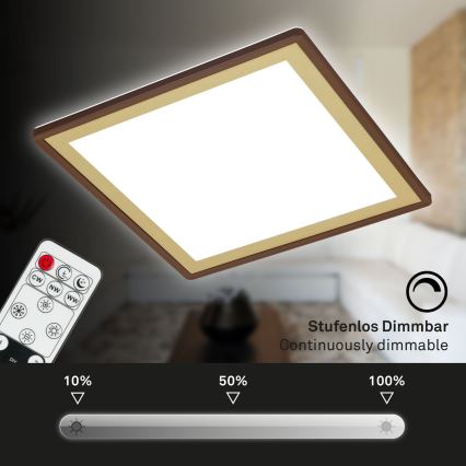 Briloner 7459-417 - LED dimmelhető mennyezeti lámpa DECO LED/24W/230V 2700-6500K + távirányító