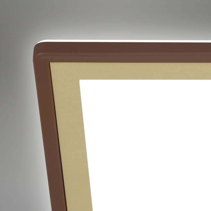 Briloner 7459-417 - LED dimmelhető mennyezeti lámpa DECO LED/24W/230V 2700-6500K + távirányító