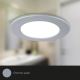 Briloner - KÉSZLET 3x LED RGBW Dimmelhető fürdőszobai fügesztett mennyezeti lámpa LED/4,8W/230V 3000-6500K IP65 + távirányítás