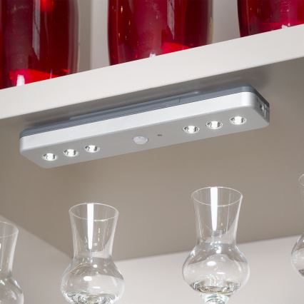 Briloner - LED Éjjeli fény érzékelővel LERO LED/0,48W/6xAAA