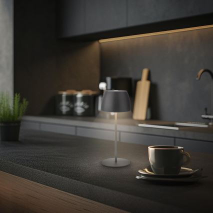 Briloner - LED Dimmelhető újratölthető érintésvezérelt kültéri asztali lámpa MINI LED/2,5W/5V IP44 1800 mAh antracit