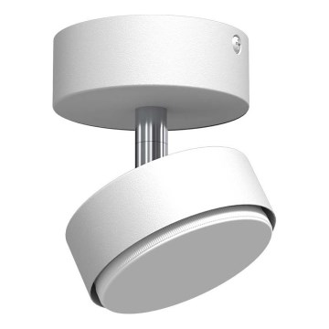 Brosline - Fehér spotlámpa 1xGX53/9W/230V