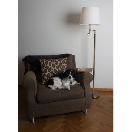 ByRydens - LED állólámpa ORLANDO 1xE27/5W/230V + LED/3W fehér/bronz átm. 36 cm
