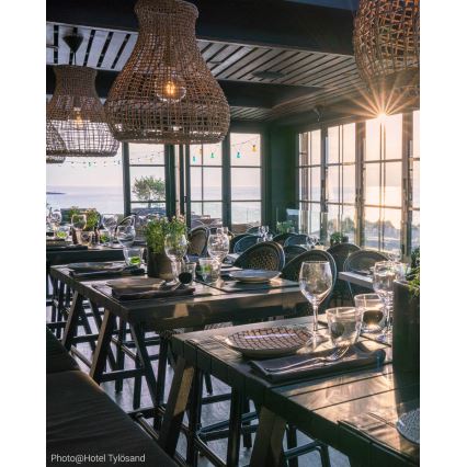 ByRydens - Csillár zsinóron SEAGRASS 1xE27/8W/230V bézs átm. 49 cm