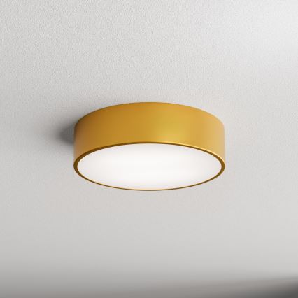 LED mennyezeti lámpa CLEO LED/24W/230V 3000K átmérő 30 cm arany