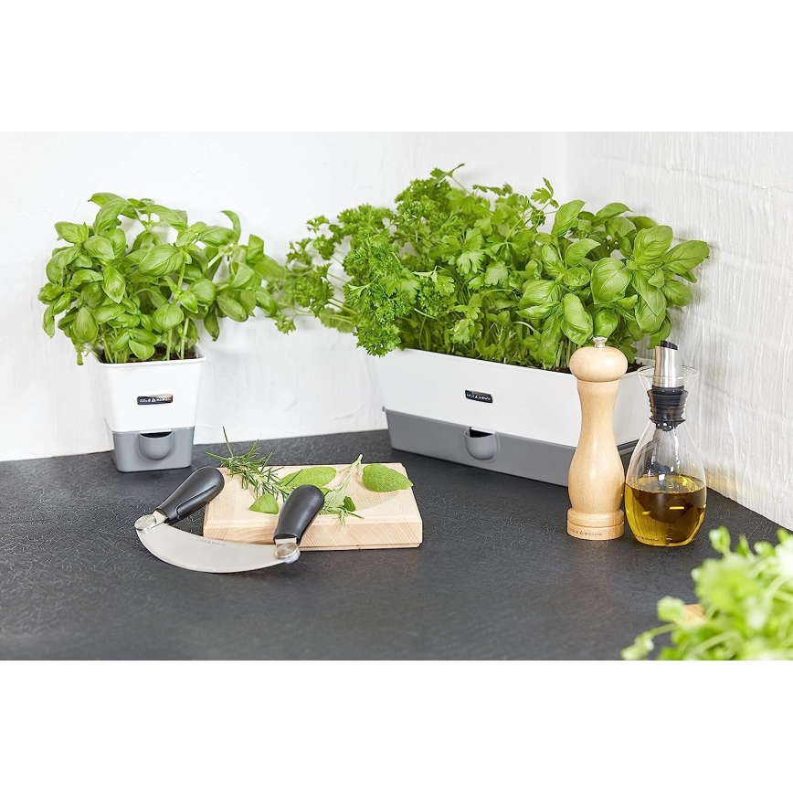 Cole&Mason - Borsdaráló CAPSTAN BEECH bükk 20 cm