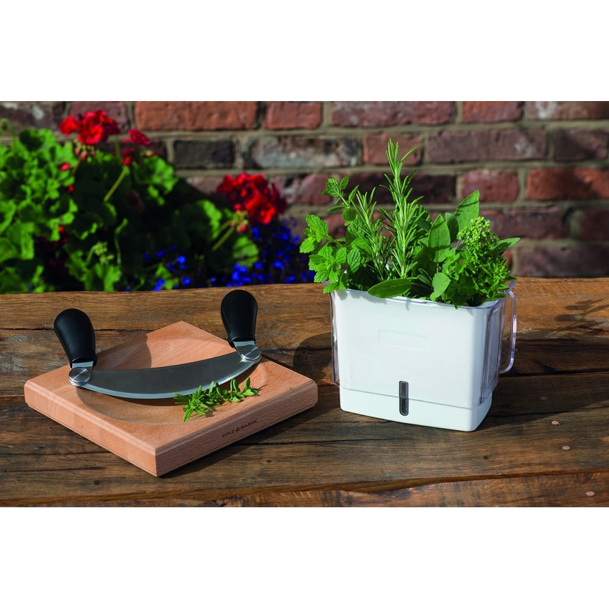 Cole&Mason - Konyhai vágódeszka hajlított késsel 21,5x51,5 cm bükk