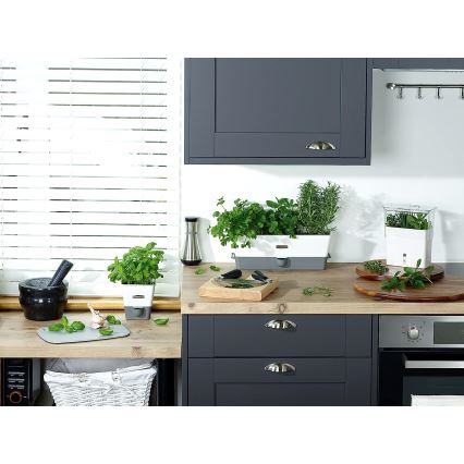 Cole&Mason - Olaj- és ecetadagoló HENLEY 260 ml