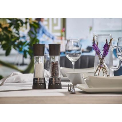 Cole&Mason - Só- és borsdaráló készlet DERWENT 2 db 19 cm bükkfa/fekete