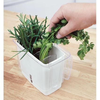 Cole&Mason - Tartály frissen vágott fűszernövények tárolására