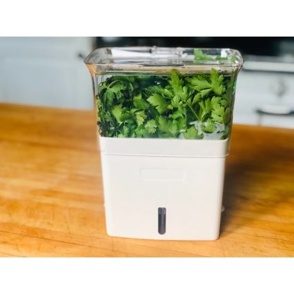 Cole&Mason - Tartály frissen vágott fűszernövények tárolására