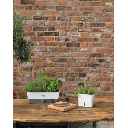 Cole&Mason - Tartály frissen vágott fűszernövények tárolására